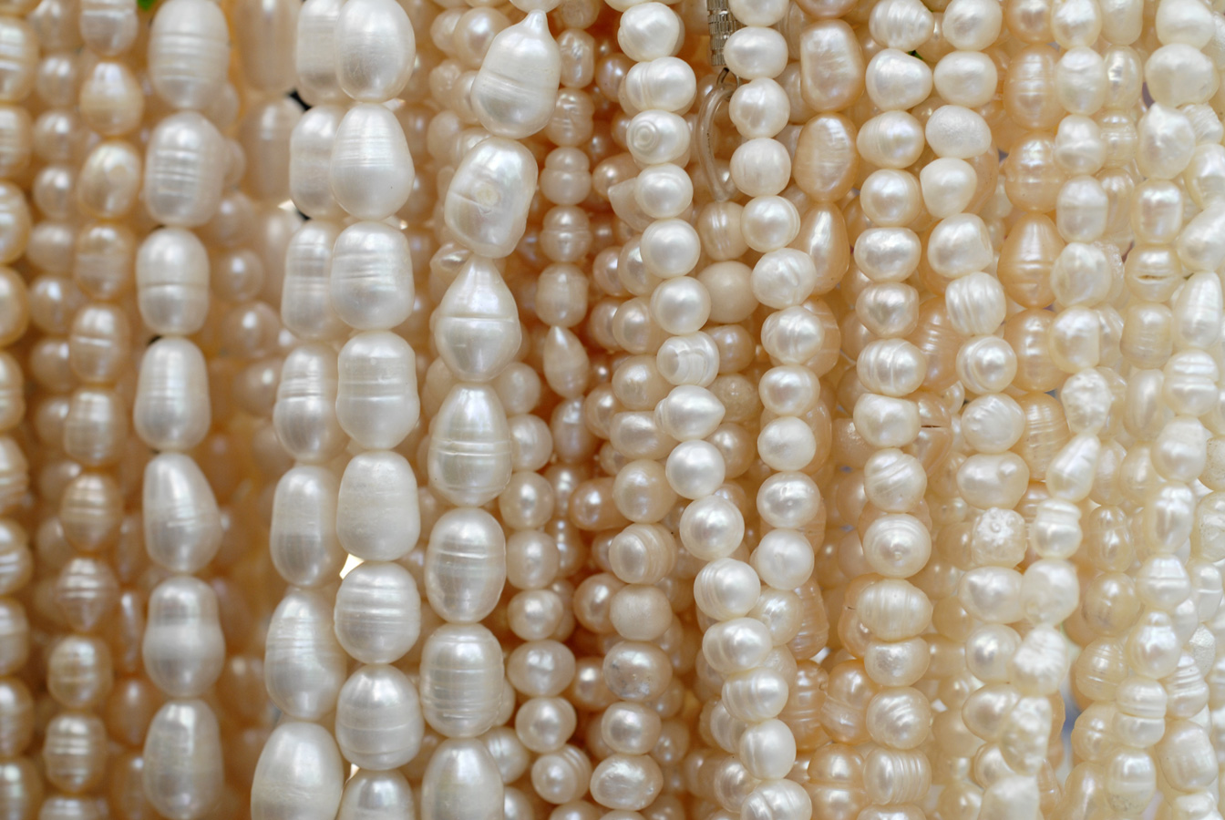 cultured-pearl
