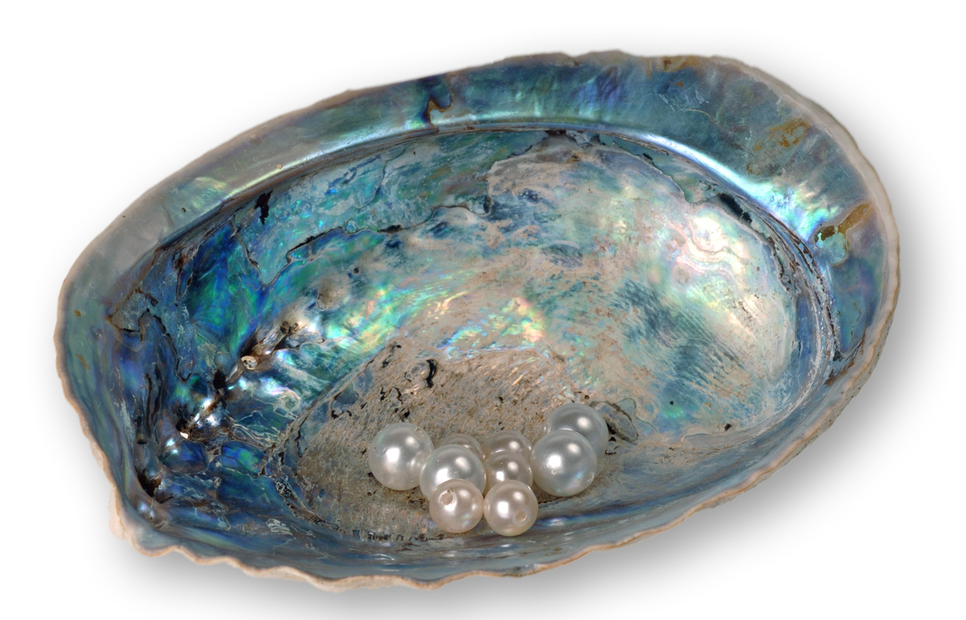 Abalone with pearls