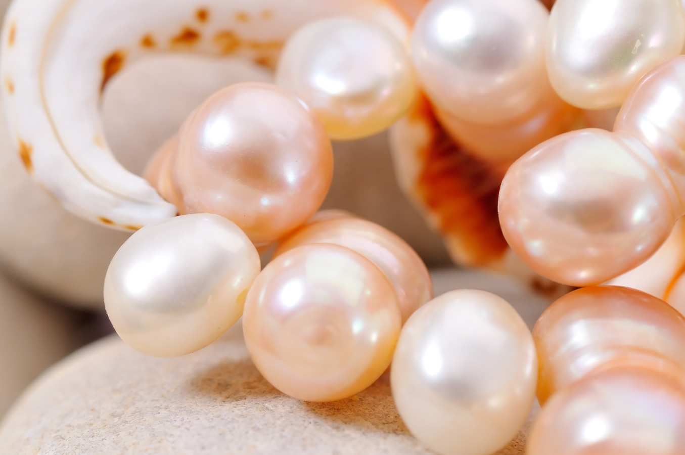 Pink cultured pearls