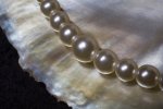 Cultured pearl neckalce on mother-of-pearl