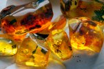 Natural raw Baltic amber with insect inclusions