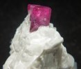 A vibrant ruby in alabaster