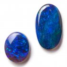 Blue Australian opals from Lightning Ridge, Australia