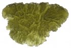 Moldavite from middle Europe